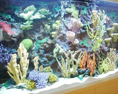 海洋生態魚缸造景設計圖（海洋生態魚缸造景設計圖是一種怎樣的存在？）
