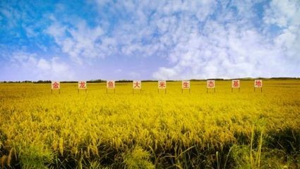金龍魚養(yǎng)殖基地在哪里：金龍魚養(yǎng)殖基地在哪里養(yǎng)殖基地需要注意以下幾點 金龍魚養(yǎng)殖基地在哪里：金龍魚養(yǎng)殖基地在哪里養(yǎng)殖基地需要注意以下幾點 龍魚百科 第3張