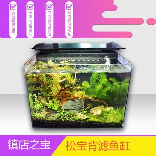 松寶魚缸質(zhì)量怎么樣啊：松寶魚缸質(zhì)量與用戶評(píng)價(jià)分析