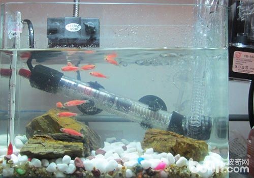 魚缸加熱器怎么調(diào)溫度：魚缸加熱器的設(shè)置