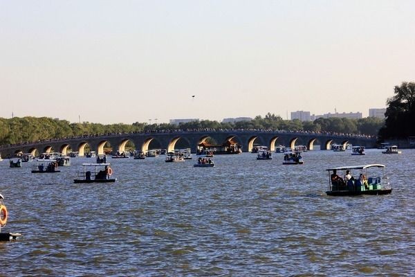 混養青龍魚金龍魚的魚缸尺寸：混養青龍魚和金龍魚的魚缸尺寸至少是150,60,60cm