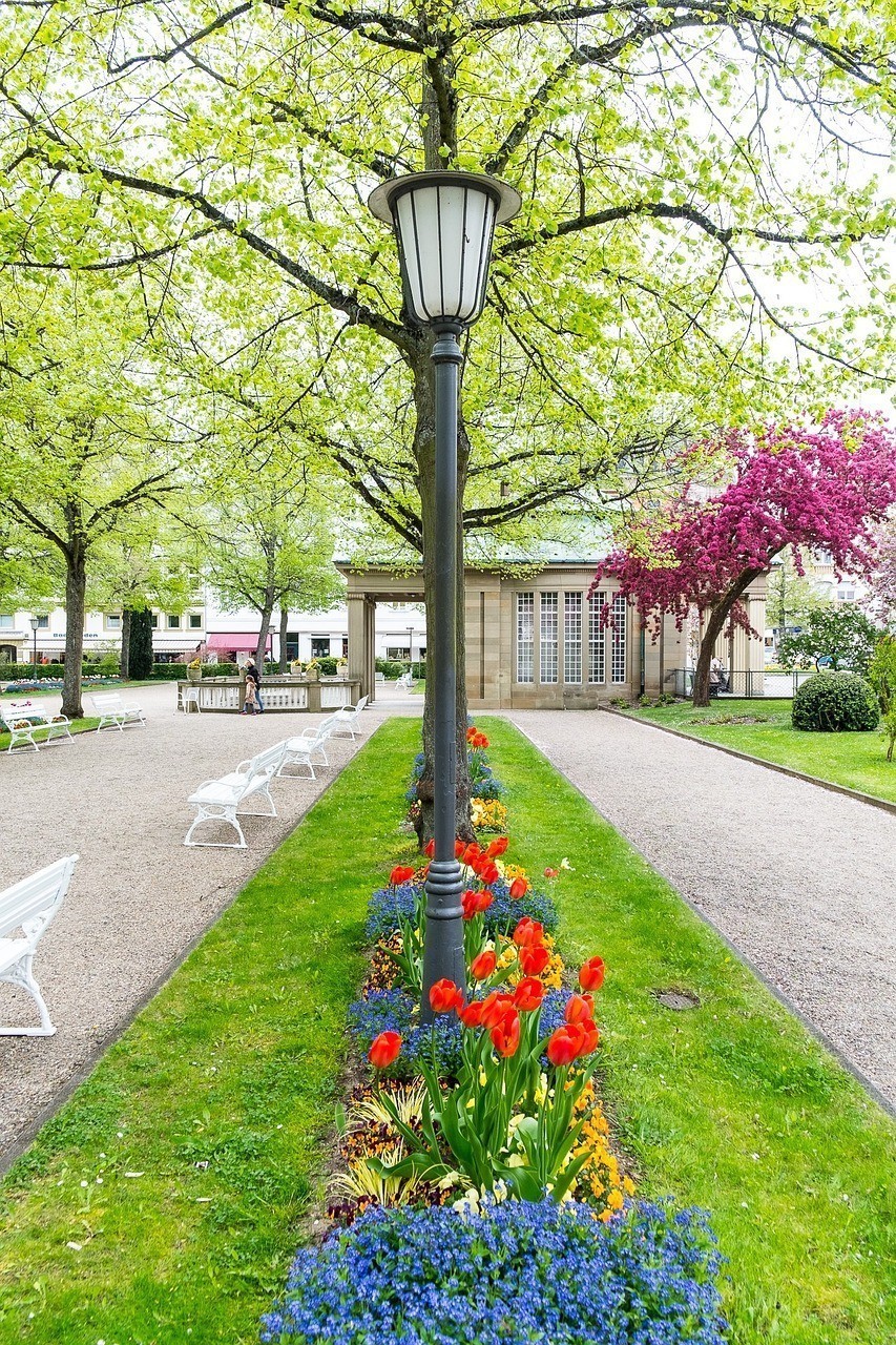 棗強縣大營鎮善水居花卉水族店