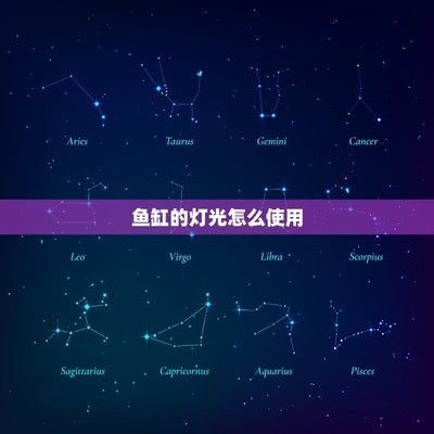 如何調節魚缸內的光照條件：魚缸光照對水質的影響,不同季節魚缸光照調整方法