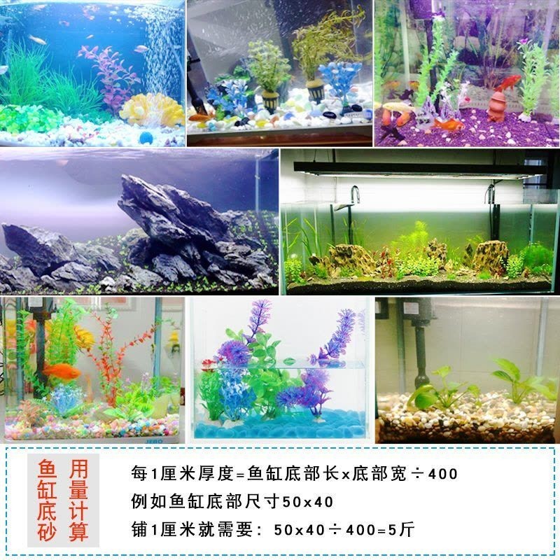水晶 魚缸：水晶魚缸不僅是一種美觀實用的水族箱，還具有一定的文化和風水意義