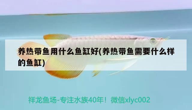 興義市文杉水族館（興義市文杉水族館電話）