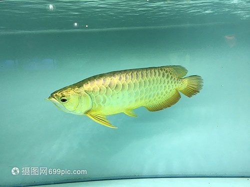 溫州市鹿城區南匯蔚藍之海水族館（溫州市鹿城區南匯蔚藍之海水族館電話）