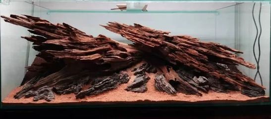 世界級魚缸造景比賽：世界級的魚缸造景比賽