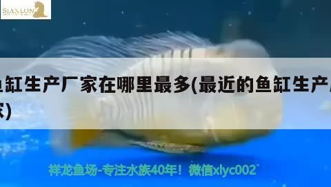 廣州市荔灣區靈利水族店