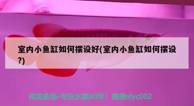天<strong><mark>津市</mark></strong>河東區鴻都水族店（北方）