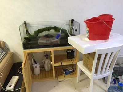 北京路市場佳寶觀賞魚店（北京路市場佳寶觀賞魚店電話）