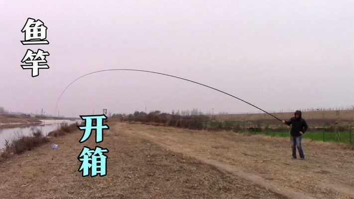 上海市閘北區彭浦新村街道三講花鳥商店（上海市閘北區彭浦新村街道三講花鳥商店地址）