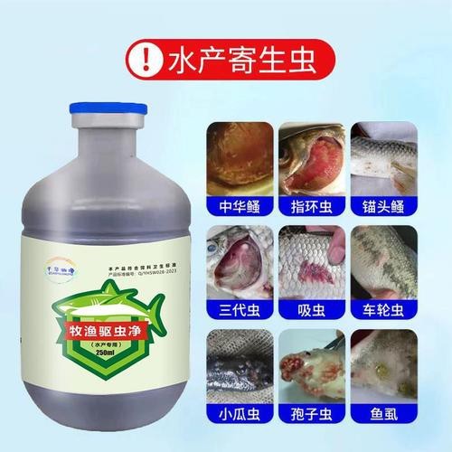 推薦幾款適合金龍魚的驅蟲藥