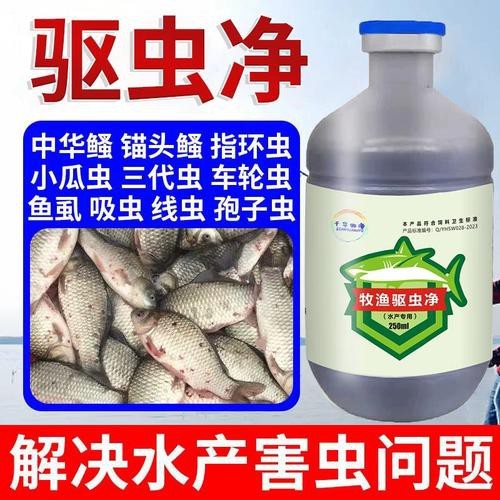 推薦幾款適合金龍魚的驅蟲藥