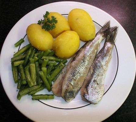 西龍魚缸氧氣泵安裝視頻教程：西龍魚缸氧氣泵，提升水族箱生態的關鍵設備