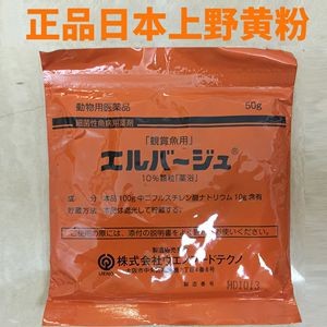 龍魚下了黃粉后為什么不適應水溫：黃粉對龍魚水溫的影響
