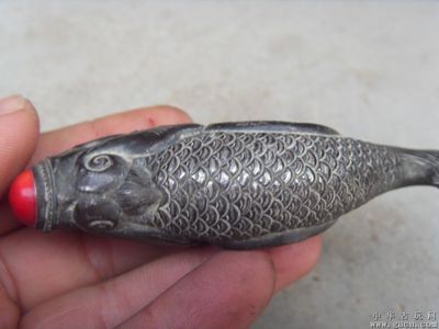 龍魚有人收嗎：探究龍魚的收容狀況