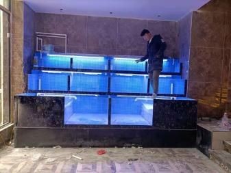 自制海鮮池的創(chuàng)意設計：深圳飯店訂做海鮮池制作視頻