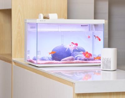 小米畫法幾何魚缸加熱棒怎么調溫度:小米畫法幾何魚缸加熱棒怎么調溫度魚缸加熱棒常規方法 魚缸百科 第3張 小米畫法幾何魚缸加熱棒怎么調溫度:小米畫法幾何魚缸加熱棒怎么調溫度魚缸加熱棒常規方法 小米畫法幾何魚缸加熱棒怎么調溫度:小米畫法幾何魚缸加熱棒怎么調溫度魚缸加熱棒常規方法 魚缸百科 第3張