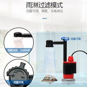 魚缸青苔的清理方法，如何清理魚缸中的青苔