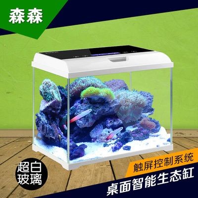 森森魚缸使用視頻：森森魚缸適合養哪些魚 森森魚缸使用視頻：森森魚缸適合養哪些魚 魚缸百科 第2張