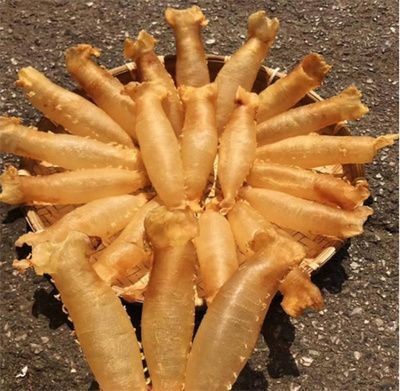 魚(yú)缸養(yǎng)多少魚(yú)最好（魚(yú)缸養(yǎng)魚(yú)風(fēng)水講究家庭魚(yú)缸水質(zhì)維護(hù)方法）