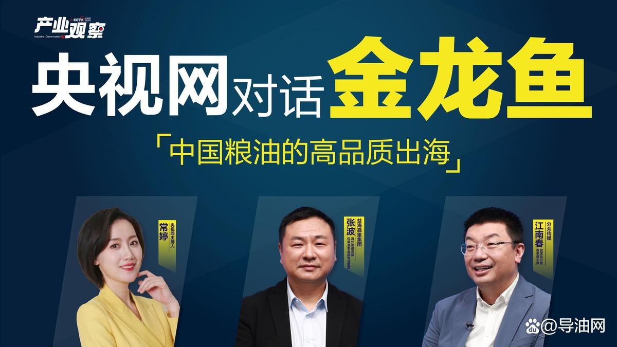 金龍魚如何推動產品國際化？