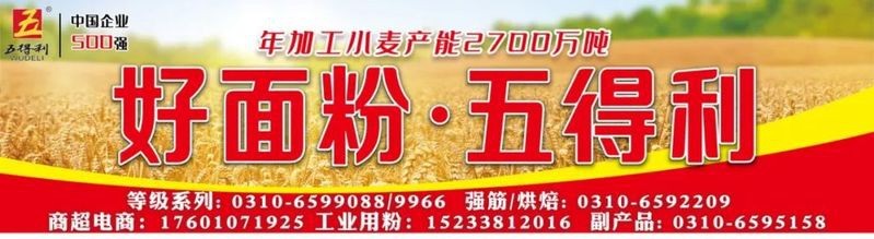 金龍魚如何推動產品國際化？