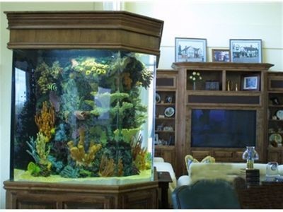 上海魚缸制作（上海魚缸制作,崇安區鴻顏水族器材經營部）