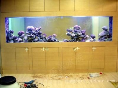 上海魚缸制作（上海魚缸制作,崇安區鴻顏水族器材經營部）