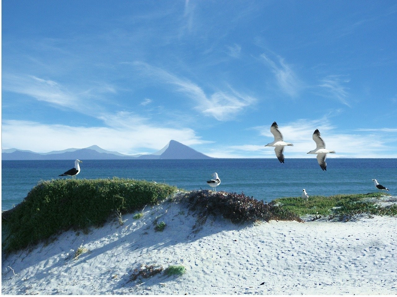 青島李滄區冰川海洋水族店