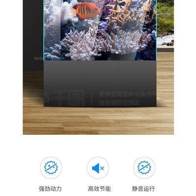 底濾魚缸照片（家庭養魚的養護技巧）