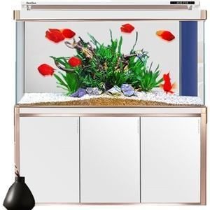 亮彩魚缸和森森哪個好