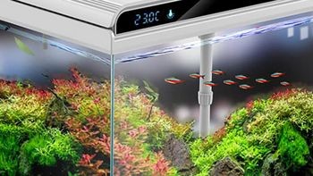 亮彩魚缸和森森哪個好