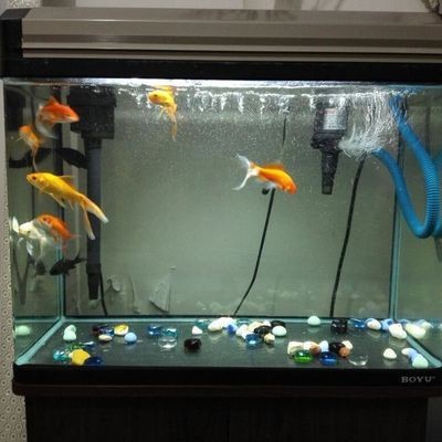 魚缸燈能修么（魚缸燈維修步驟和注意事項）