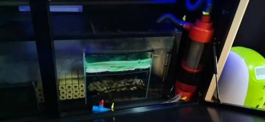 可麗愛魚缸顯示e1怎么處理