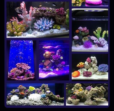 說一說海水魚缸造景的經驗，可能會對您有所幫助，請注意：海水魚缸造景的經驗
