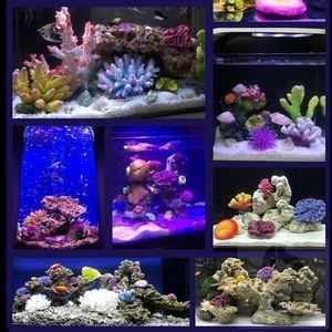 說一說海水魚缸造景的經驗，可能會對您有所幫助，請注意：海水魚缸造景的經驗