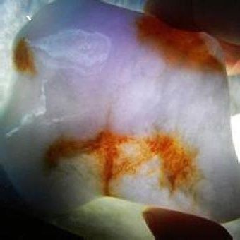 翡翠放魚缸里有獨特的物理和化學性質差異,翡翠放魚缸的作用:翡翠放入魚缸有什么作用? 魚缸百科 第1張 翡翠放魚缸里有獨特的物理和化學性質差異,翡翠放魚缸的作用:翡翠放入魚缸有什么作用? 翡翠放魚缸里有獨特的物理和化學性質差異,翡翠放魚缸的作用:翡翠放入魚缸有什么作用? 魚缸百科 第1張