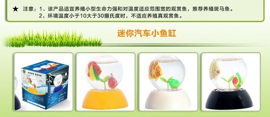 觀賞魚適合家庭養殖的觀賞魚，觀賞魚的品種和習性來說：家庭養殖觀賞魚有什么技巧？
