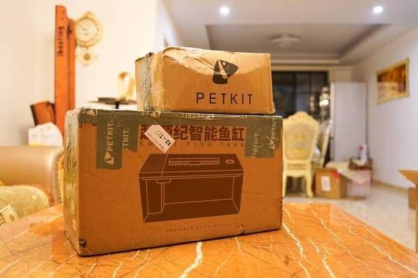 起源紀魚缸的弊端：“起源紀魚缸的弊端詳情”，起源紀魚缸搭配有兩個造景包