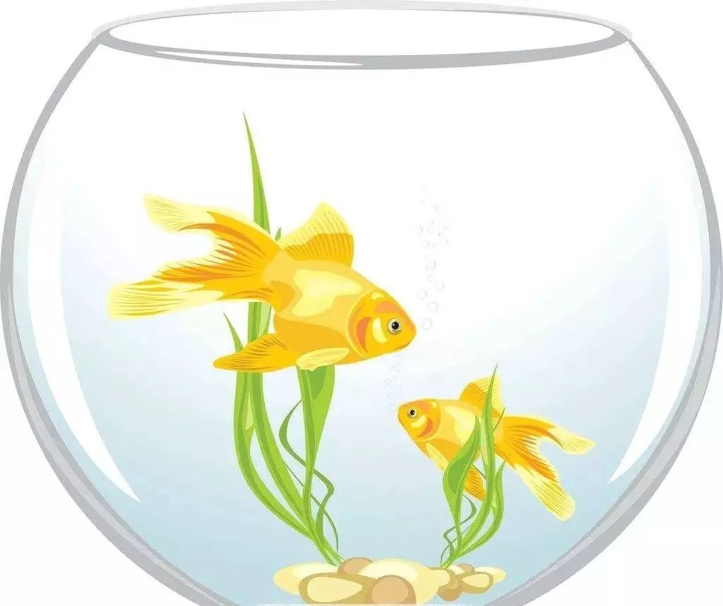魚缸與財神擺放的風水講究：魚缸與財神擺放在風水中具有特殊意義，魚缸與財神擺放方位圖解