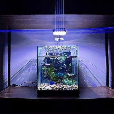 水族箱十大品牌排名：2024年國內魚缸品牌排名