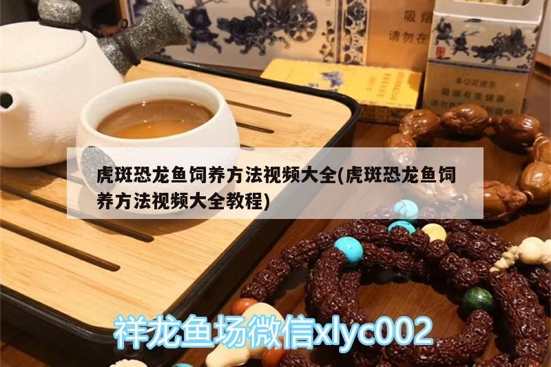 孟連金鑫魚具店