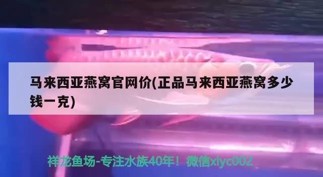 天津戀漁灣漁具有限公司（天津戀漁灣漁具有限公司招聘）