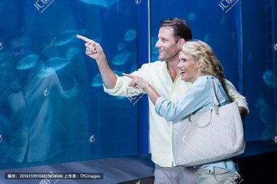 魚缸夫婦是什么意思：“魚塘夫婦”是什么意思