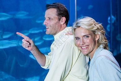 魚缸夫婦是什么意思：“魚塘夫婦”是什么意思