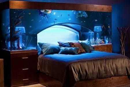 床邊放魚缸有什么講究：臥室魚缸擺放的科學依據 床邊放魚缸有什么講究：臥室魚缸擺放的科學依據 魚缸百科 第5張