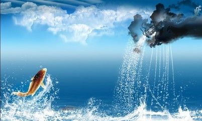 龍魚缸背景圖案設計（設計龍魚缸背景圖案時需要考慮風水原則、美學考量、個人喜好）