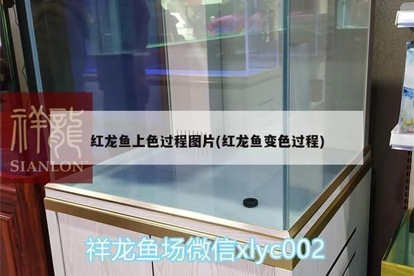 漢霸魚缸怎么樣？：漢霸魚缸與其他品牌的比較漢霸魚缸維護(hù)保養(yǎng)指南