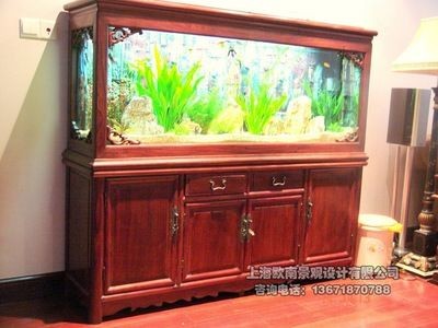 深圳藝景水族有限公司亞克力魚缸定制:大型亞克力魚缸安裝與維護(hù)大型亞克力魚缸的安裝方法 魚缸百科 第4張 深圳藝景水族有限公司亞克力魚缸定制:大型亞克力魚缸安裝與維護(hù)大型亞克力魚缸的安裝方法 深圳藝景水族有限公司亞克力魚缸定制:大型亞克力魚缸安裝與維護(hù)大型亞克力魚缸的安裝方法 魚缸百科 第4張